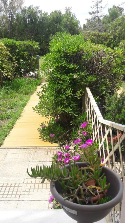 Sea Beach Relax Tirrenia Ngoại thất bức ảnh