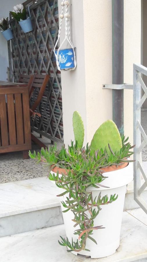 Sea Beach Relax Tirrenia Ngoại thất bức ảnh